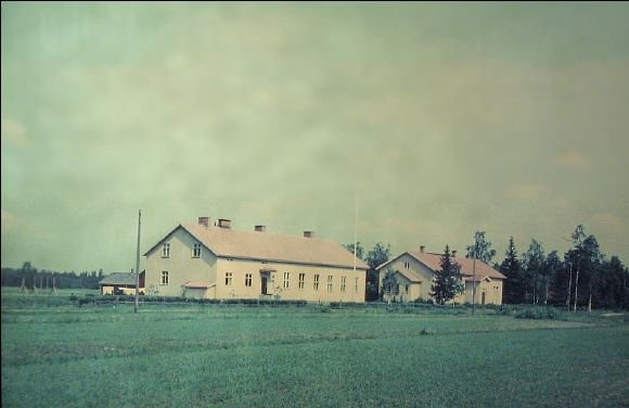 Halkivaha 1956